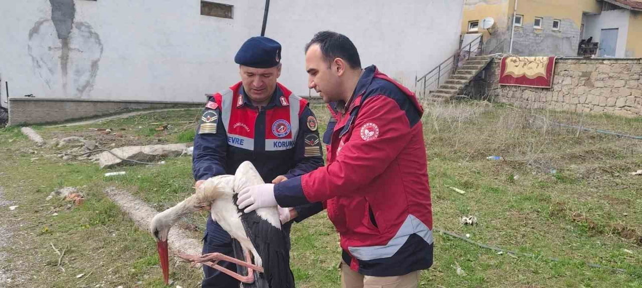 YOZGAT’TA BULUNAN HASTA LEYLEK KORUMA ALTINA ALINDI.-