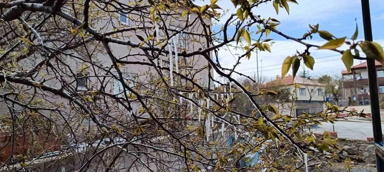 YOZGAT’TA MUHTEMEL ZİRAİ DON RİSKİNE KARŞI VATANDAŞLAR UYARILDI.-(13 NİSAN 2025 ZİRAİ DON HABERİ...