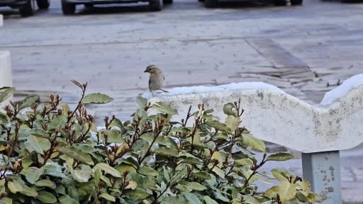 Yozgat’ta nisan ayında kar sürprizi