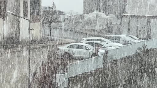 Yüksekova'da kar ve sis etkili oldu: Görüş mesafesi 20 metreye düştü