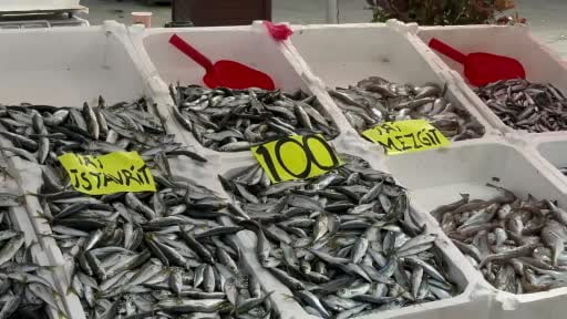 Zonguldak'ta tezgahlarda istavrit bolluğu; kilosu 100 liradan satılıyor