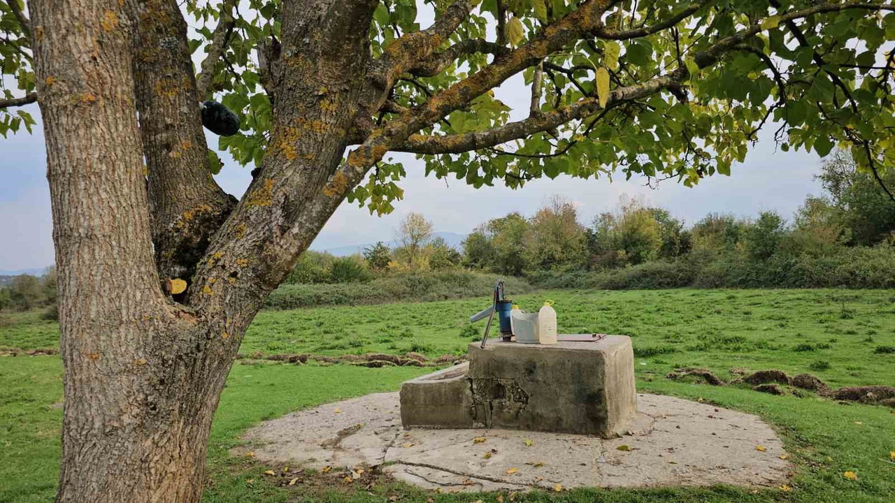 ZONGULDAK CUMHURİYET BAŞSAVCILIĞI, ÇAYCUMA İLÇESİNDE 17 YAŞINDAKİ HASRET AKKUZU'NUN CANSIZ...