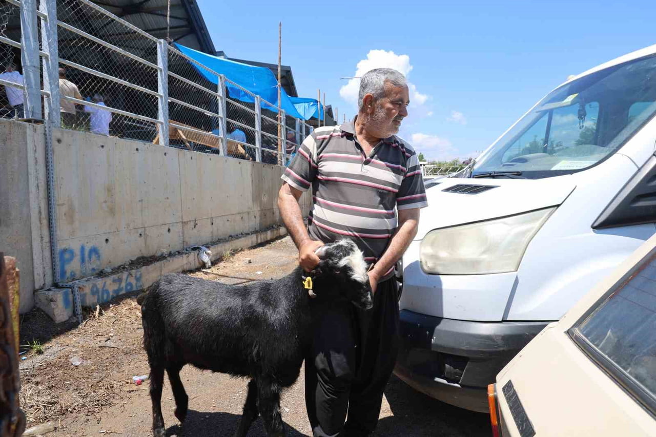 ADANA'DA KURBANLIKLARIN OTOMOBİLLERİN BAGAJINDA, KOLTUKLARINDA VE SEPETLİ MOTOSİKLETLERLE...