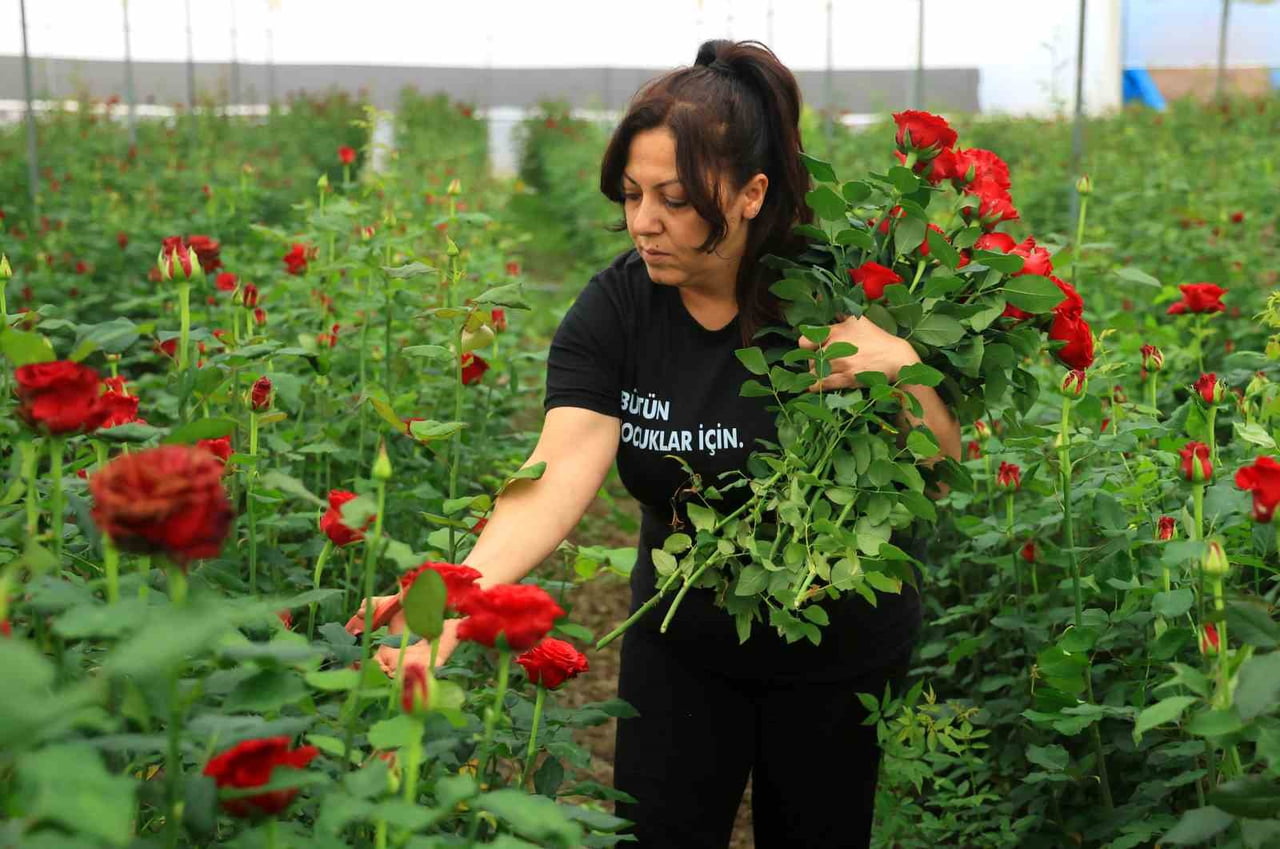 ADANA’DA ANNELER GÜNÜ ÖNCESİ YERLİ GÜLÜN TANESİ SERADA 5 LİRAYA SATILIRKEN ÇİÇEKÇİLER VE ÇİÇEK...