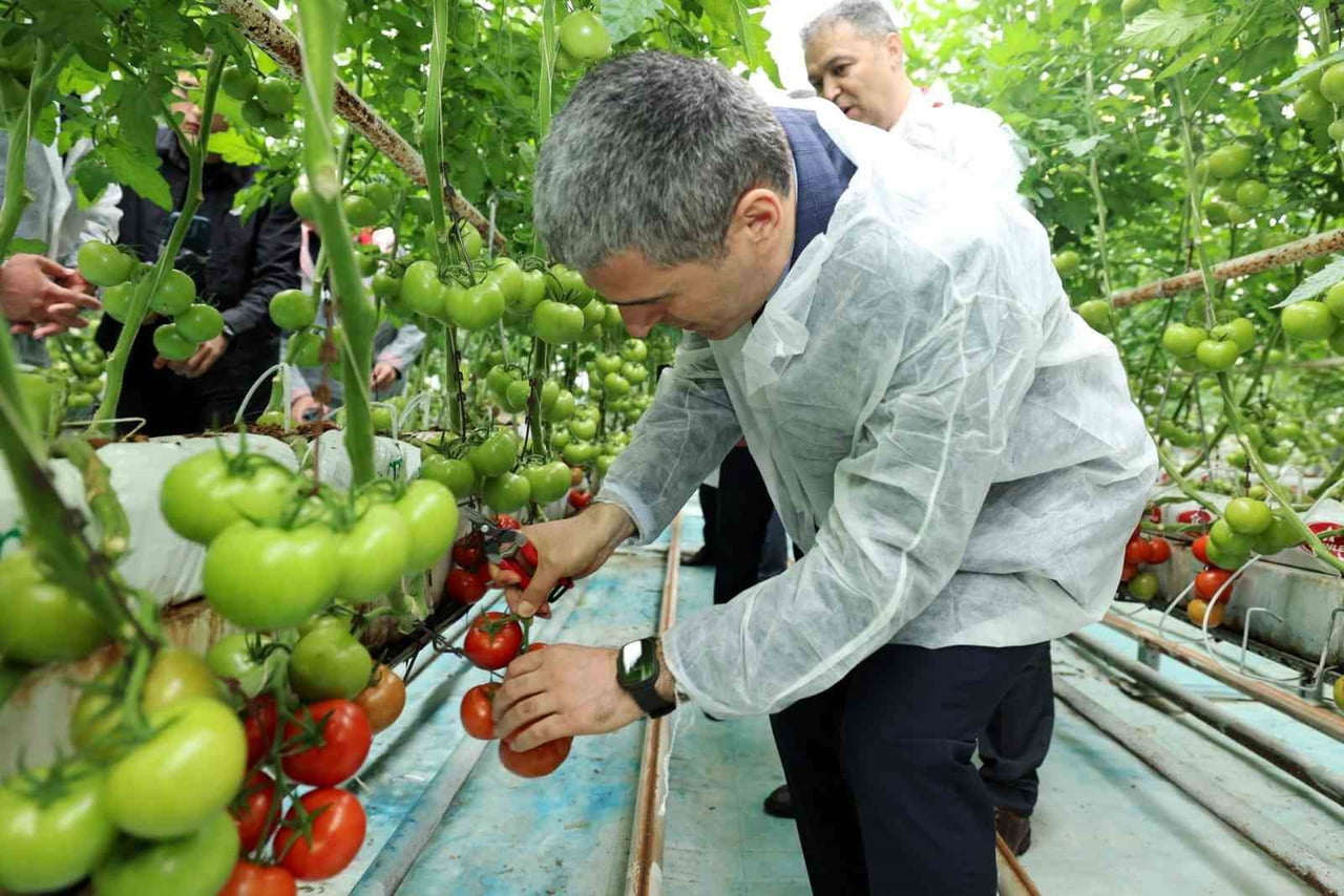 AFYONKARAHİSAR'DA DOMATES ÜRETİMDE ÖNEMLİ BİR YERE SAHİP SANDIKLI İLÇESİNİ ZİYARET EDEN VALİ DR....