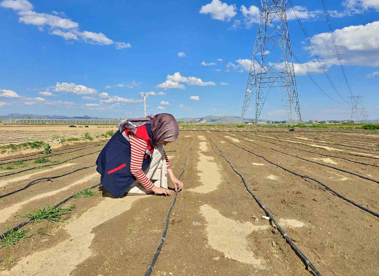 AFYONKARAHİSAR’DA TARIMSAL ÜRETİMİN SAĞLIKLI VE VERİMLİ ŞEKİLDE SÜRDÜRÜLEBİLMESİ AMACIYLA ARAZİ...