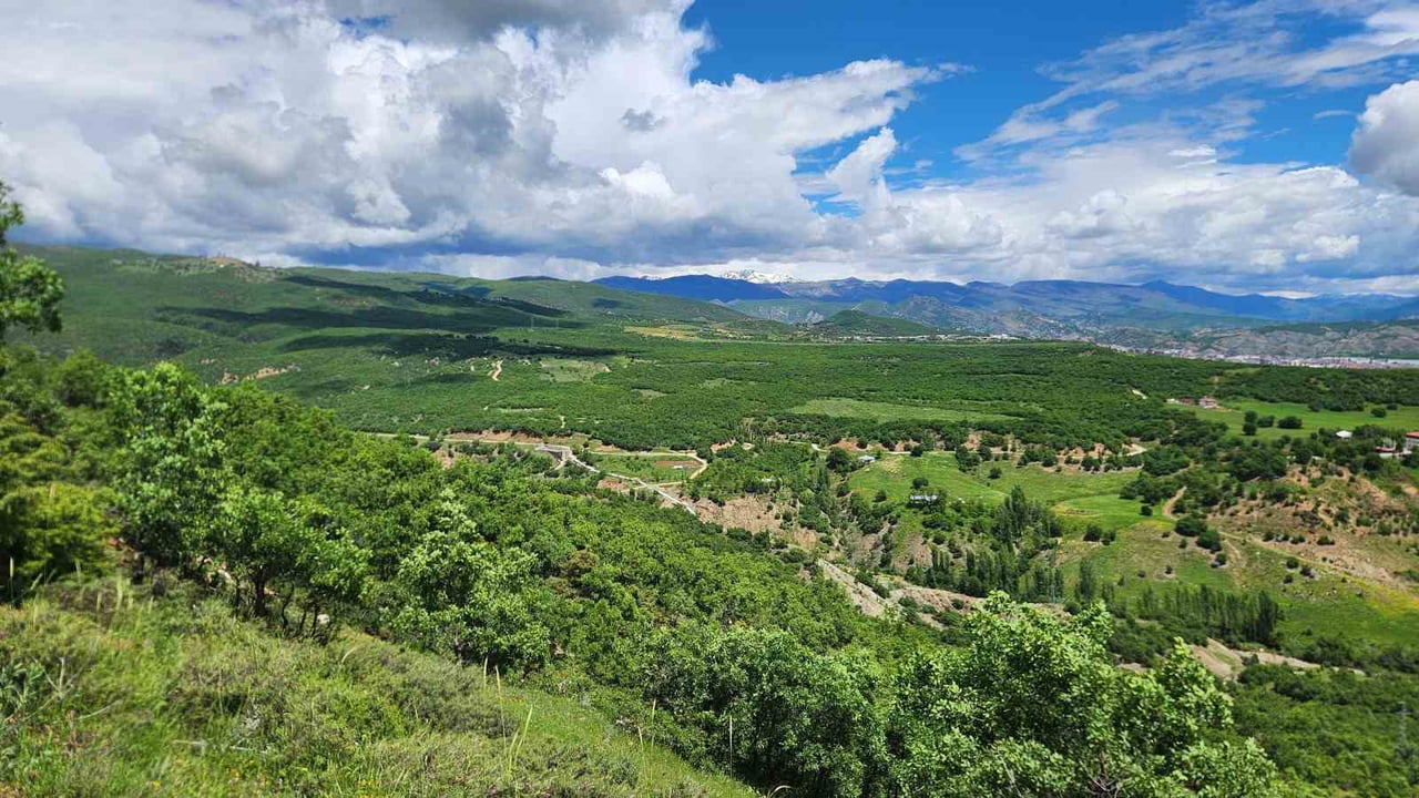 AKTULUK MAHALLESİ