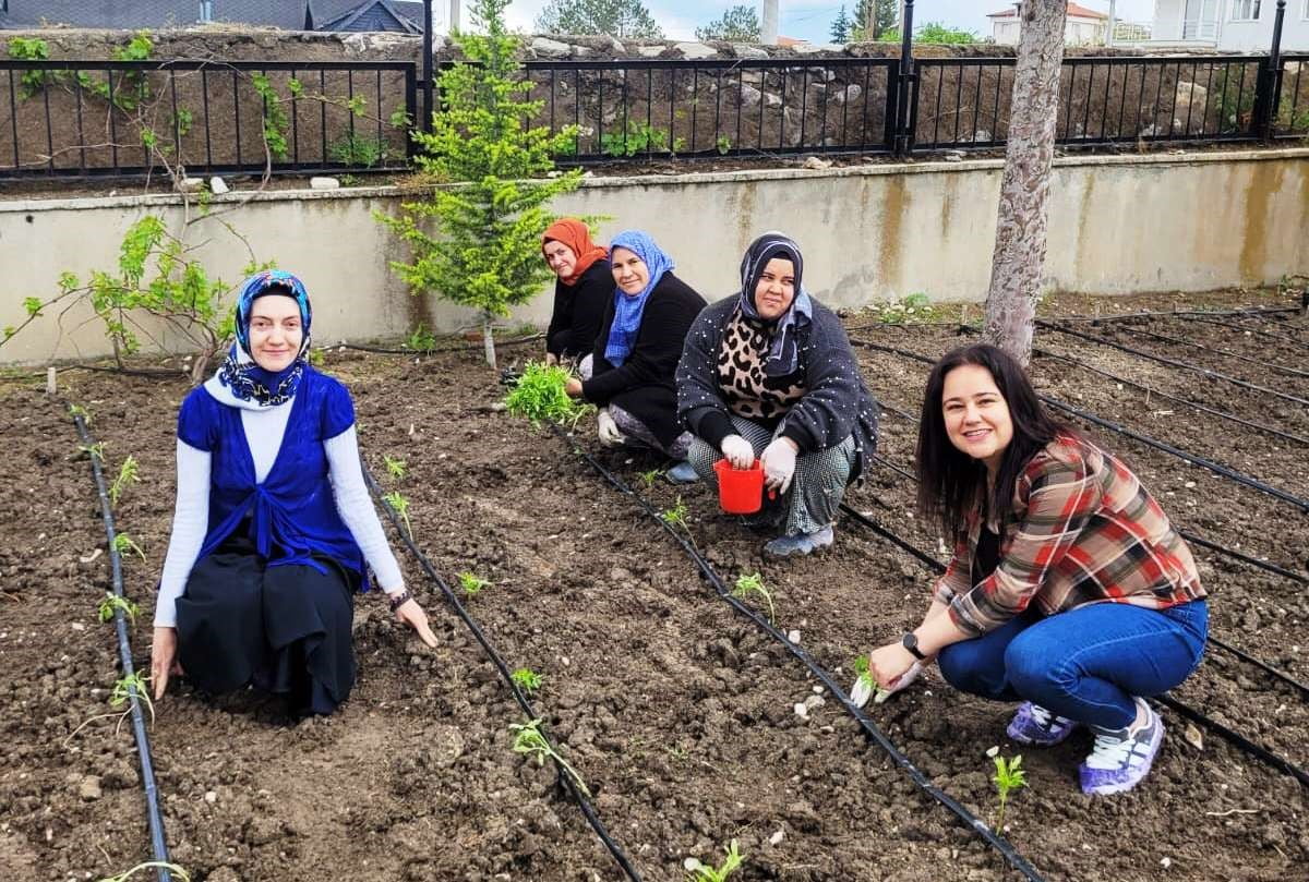 ALTINTAŞ’TA ÖĞRETMENLER DOMATES FİDELERİNİ TOPRAKLA BULUŞTURDU