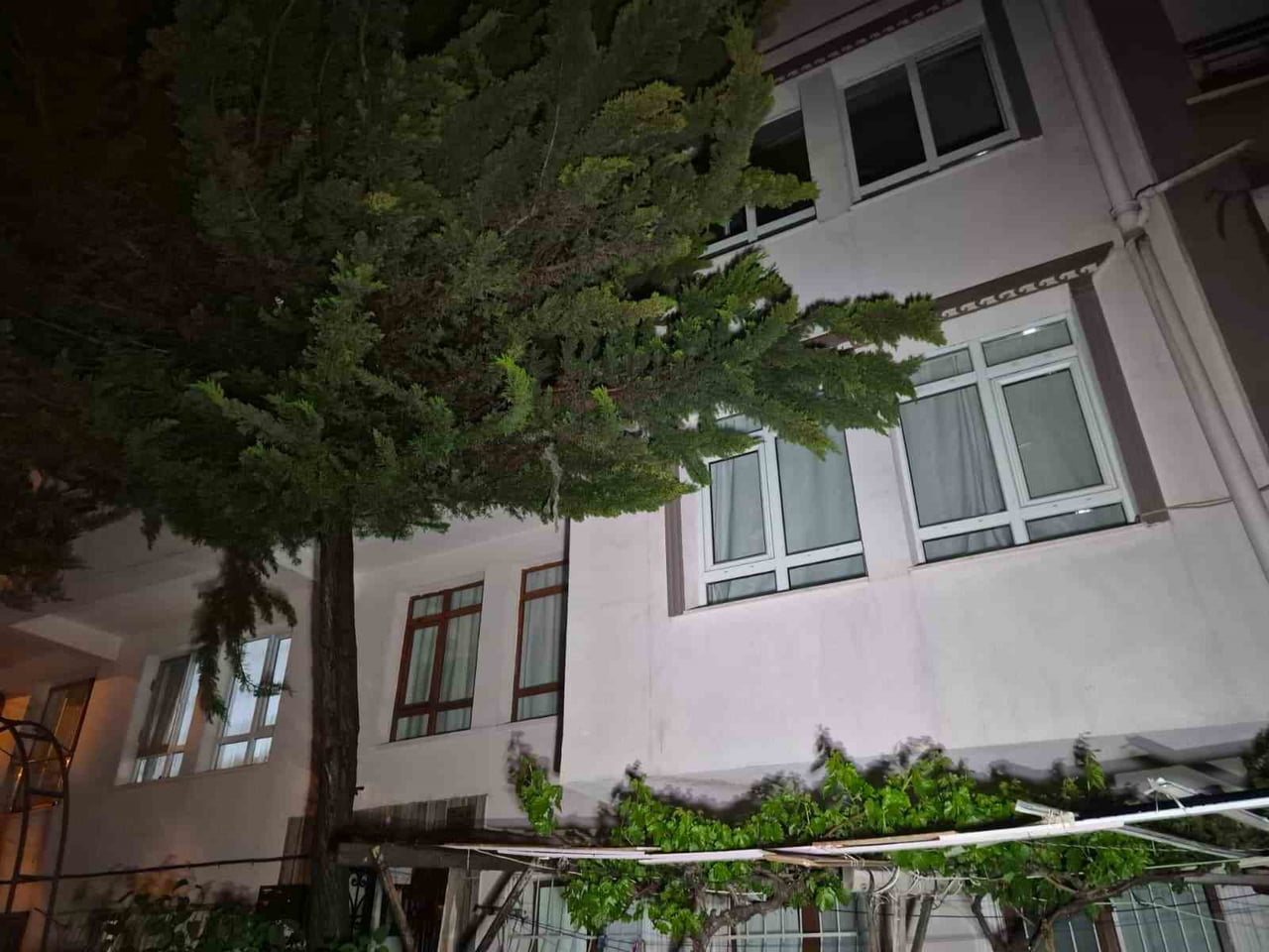 ANKARA'NIN KEÇİÖREN İLÇESİNDE AKŞAM SAATLERİNDE BİR AĞAÇTA ÇIKAN YANGIN SÖNDÜRÜLEMEYİNCE, GECE...