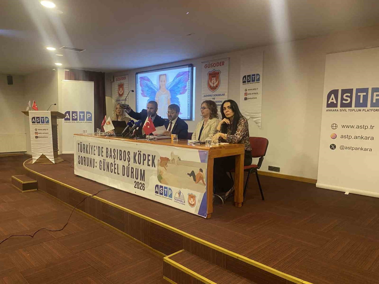 ANKARA’DA PLATFORMLAR TARAFINDAN ‘TÜRKİYE’DE BAŞIBOŞ KÖPEK SORUNU’ PANELİ...