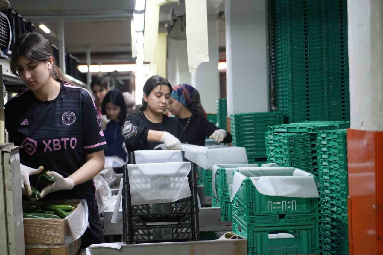 ANTALYA'DA KURBAN BAYRAMI ÖNCESİ TOPTANCI HAL KOMPLEKSİ'NDE FAHİŞ FİYAT VE ÜRÜN DENETİMİ...