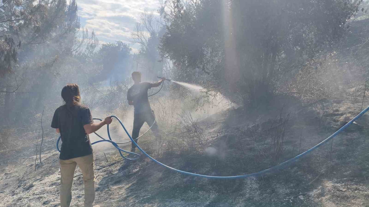 ANTALYA'NIN SERİK İLÇESİNDE ORMANLIK ALANIN FARKLI NOKTALARINDA ÇIKAN YANGIN, İTFAİYE EKİPLERİNİN...