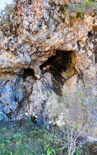 ARTVİN’İN ŞAVŞAT İLÇESİNDE ANNE AYI VE YAVRULARI İNLERİNDE DRONLA GÖRÜNTÜLENİRKEN, ARHAVİ’DE YOL...