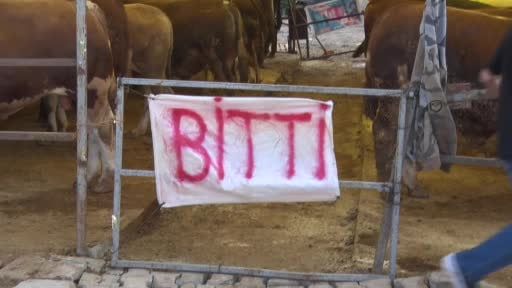 Avcılar’da kurbanlıkların büyük kısmı tükendi, satıcılar çadırlara ‘Bitti’ yazısını...