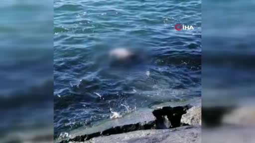 Avcılar sahilinde erkek cesedi bulundu