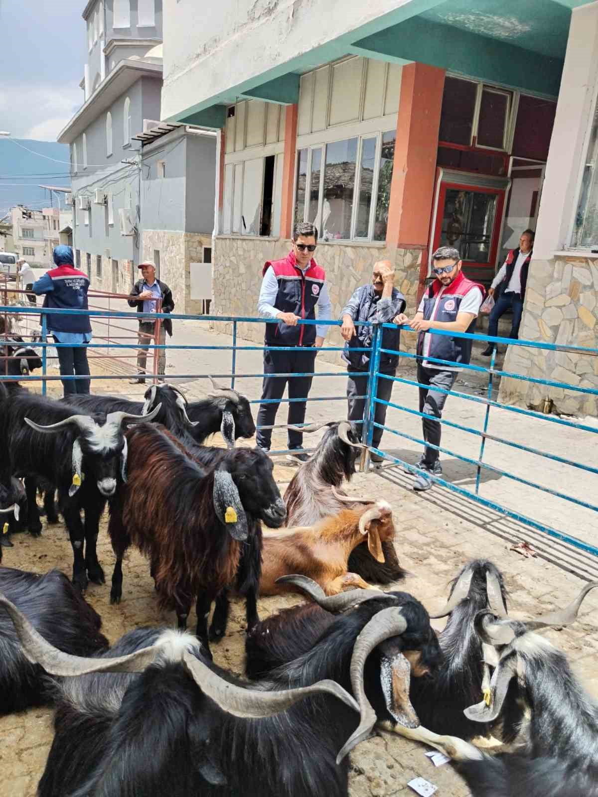 AYDIN'IN BOZDOĞAN İLÇESİNDE YAKLAŞAN KURBAN BAYRAMI ÖNCESİNDE KURBAN SATIŞ YERLERİNE YÖNELİK...