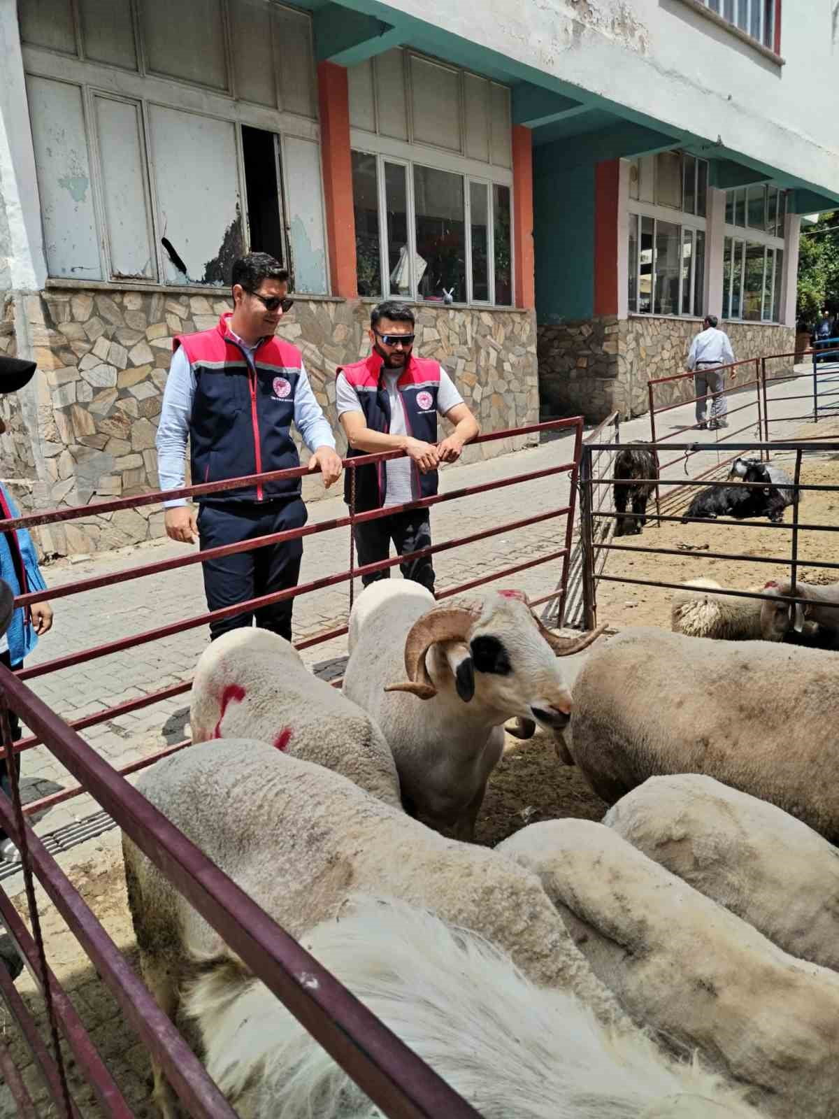 AYDIN'IN BOZDOĞAN İLÇESİNDE YAKLAŞAN KURBAN BAYRAMI ÖNCESİNDE KURBAN SATIŞ YERLERİNE YÖNELİK...