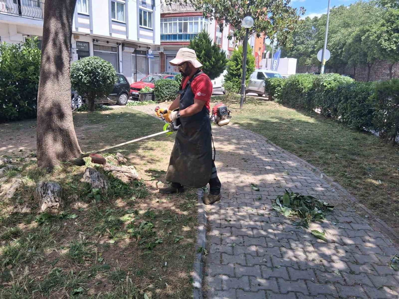 AYDIN'IN EFELER İLÇESİNDE BELEDİYE EKİPLERİ, PARK VE YEŞİL ALANLARDA BAKIM VE DÜZENLEME...