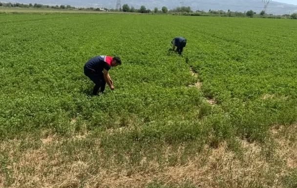AYDIN’DA KURAKLIKLA MÜCADELE ÇALIŞMALARI SÜRÜYOR