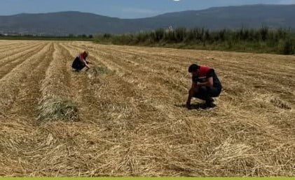 AYDIN’DA KURAKLIKLA MÜCADELE ÇALIŞMALARI SÜRÜYOR