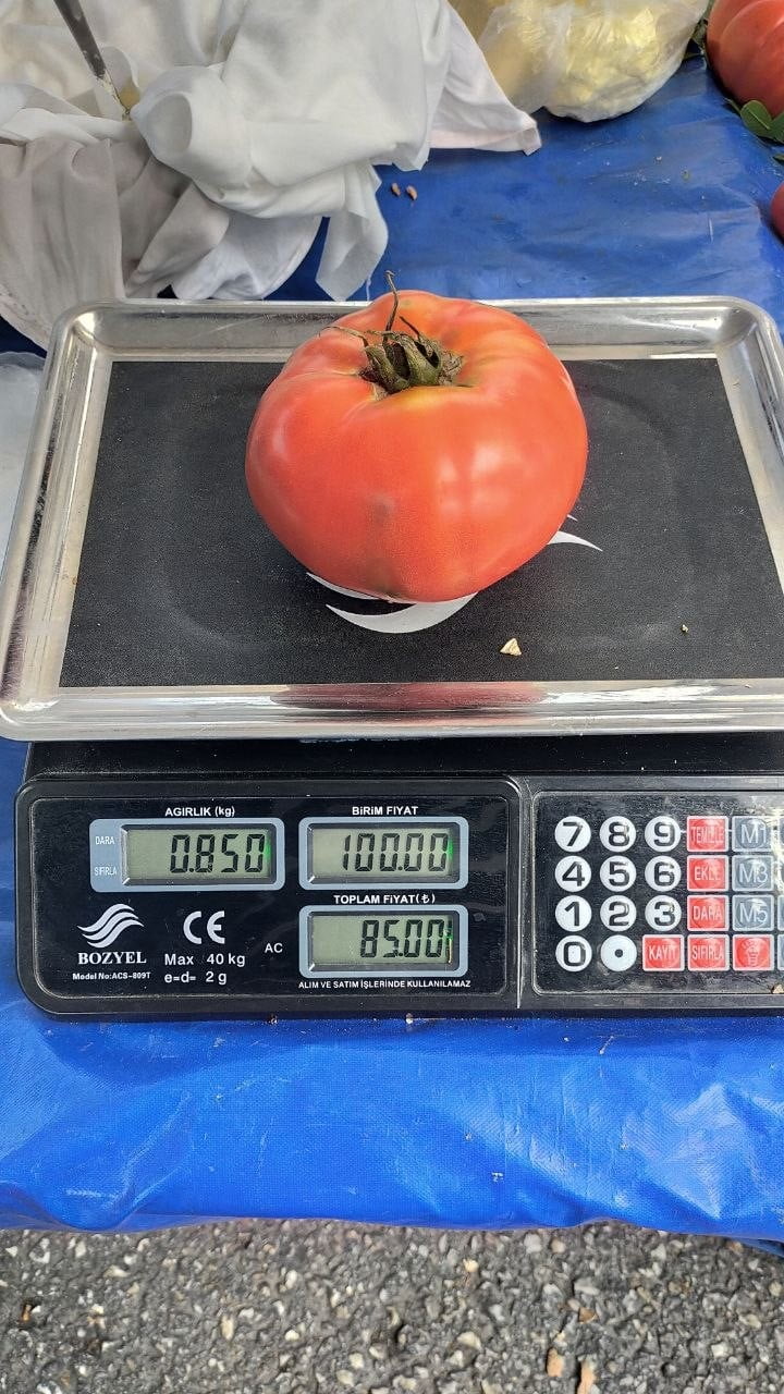 AYDIN’DA KURBAN BAYRAMI ÖNCESİ VATANDAŞLARIN İHTİYAÇLARI İÇİN KURULAN PAZARDA HAREKETLİLİK...