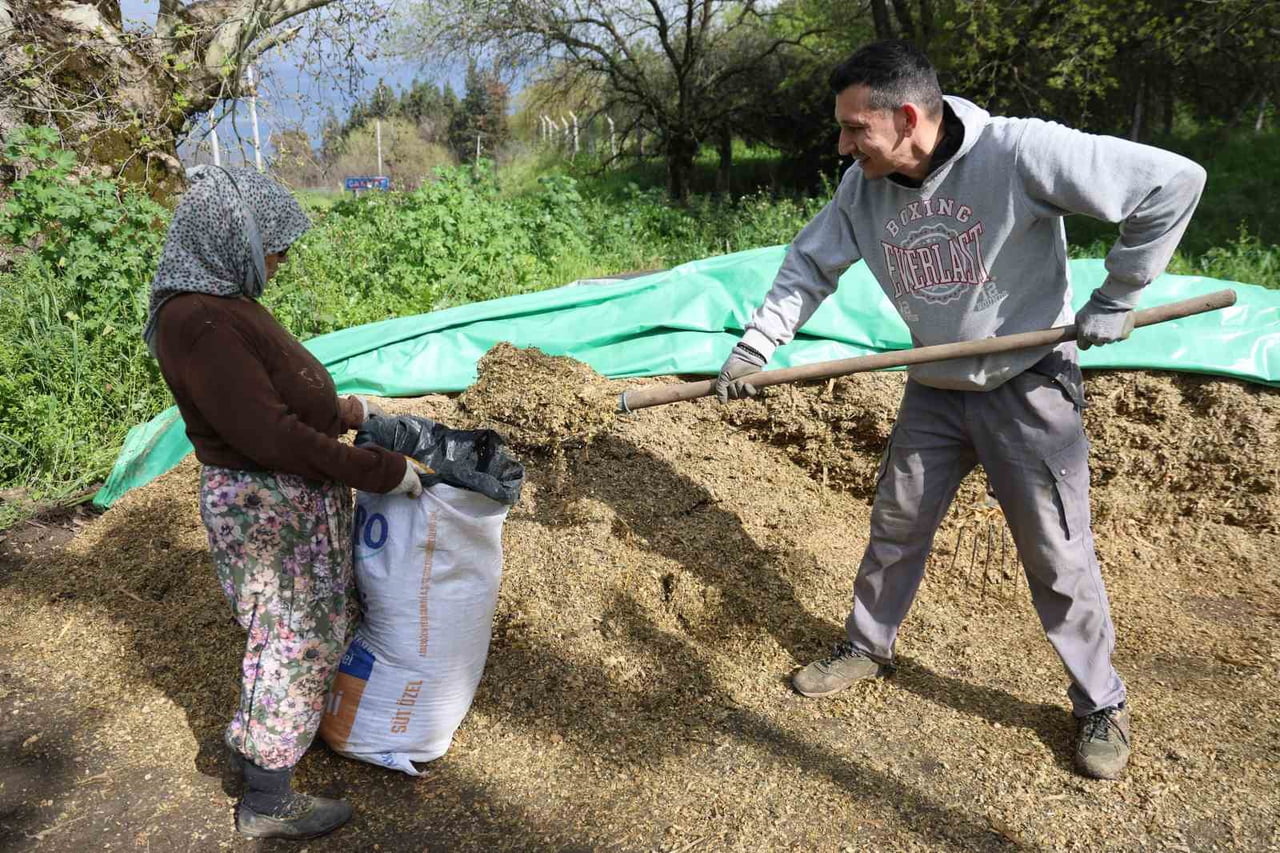 AYDIN’DA SON YILLARDA YAĞIŞLARIN MEVSİM NORMALLERİNDE SEYRETMESİ VE BAHAR AYLARININ VERİMLİ...