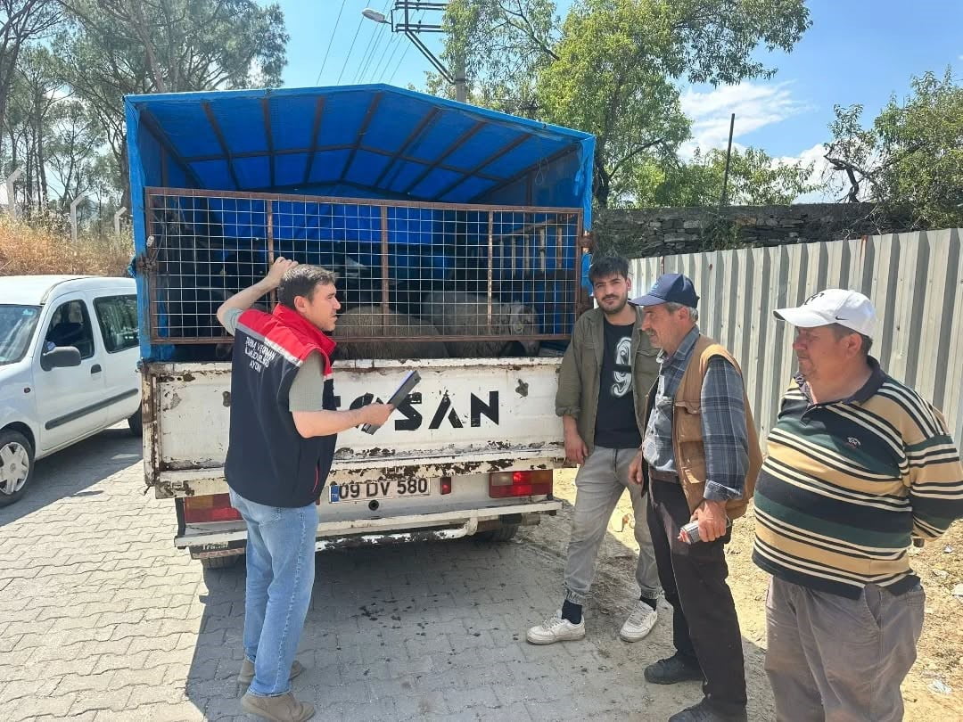 AYDIN İL TARIM VE ORMAN MÜDÜRLÜĞÜ, KURBAN BAYRAMI SÜRESİNCE VATANDAŞLARIN SAĞLIKLI VE GÜVENİLİR...