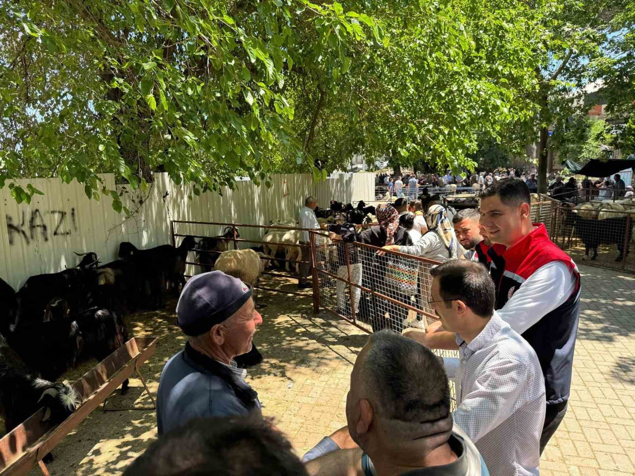 AYDIN’IN BOZDOĞAN İLÇESİNDE KURBAN BAYRAMI ÖNCESİ HAYVAN PAZARINDA DENETİM GERÇEKLEŞTİRİLDİ....