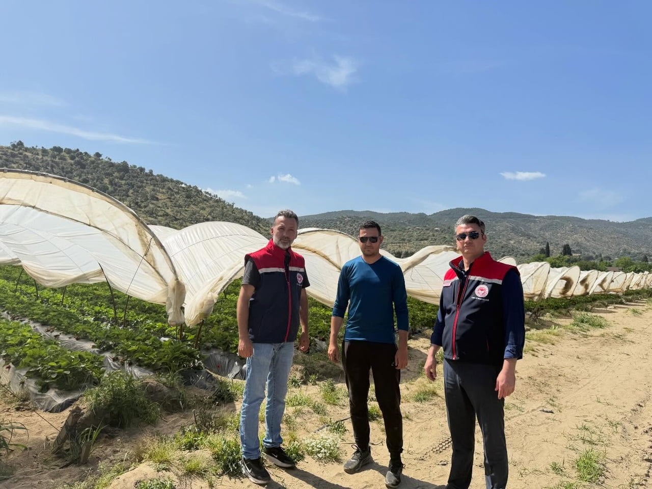 AYDIN’IN KOÇARLI İLÇESİNDE 2026 YILI “HASAT ÖNCESİ PESTİSİT DENETİMLERİ” KAPSAMINDA ÇİLEK...