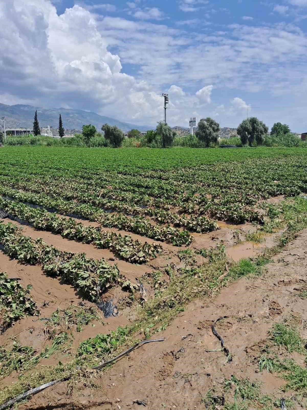 AYDIN’IN KÖŞK İLÇESİNDE ETKİLİ OLAN SAĞANAK SONRASI ZARAR GÖREN ARAZİLER İÇİN HASAR TESPİT SÜRECİ...