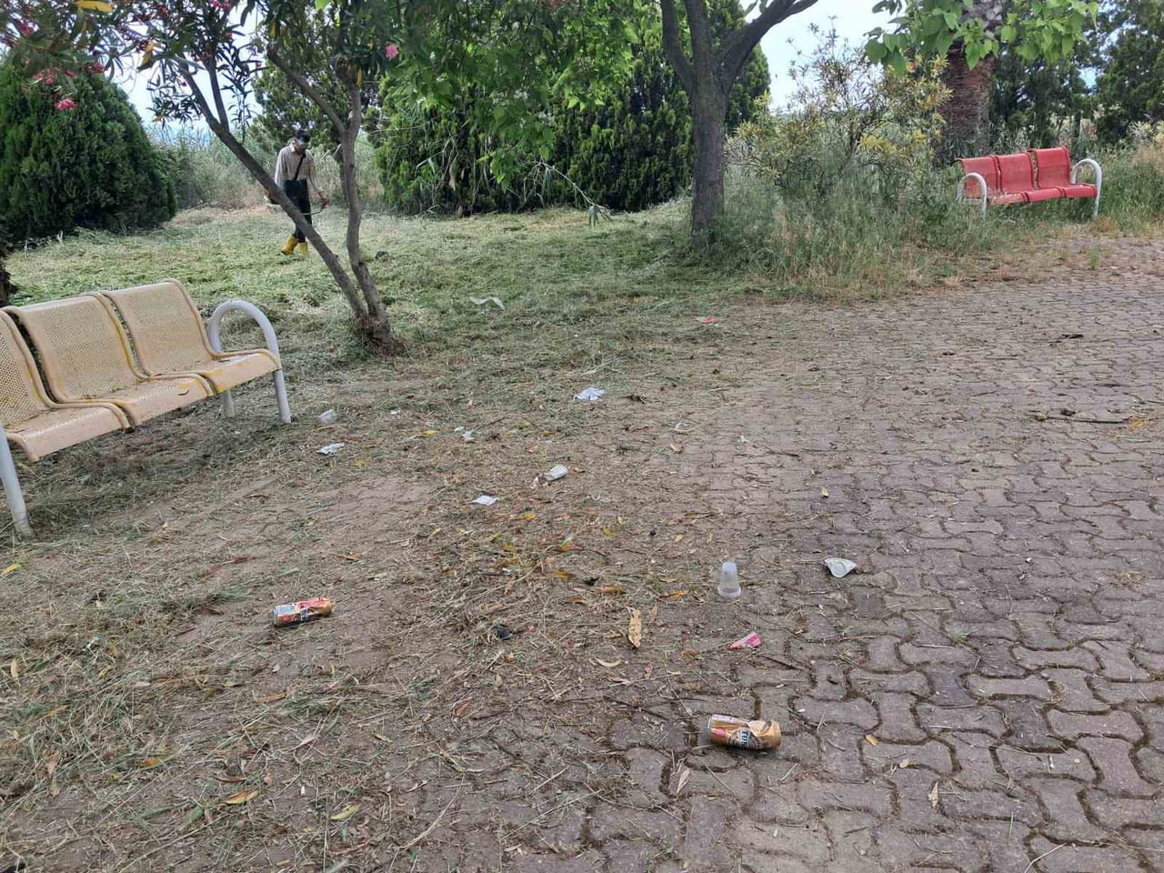 AYDIN’IN SULTANHİSAR İLÇESİNDE ATÇA ABİDE ŞEHİTLİĞİ’NDE TEMİZLİK ÇALIŞMASI YAPAN EKİPLER, ALKOL...