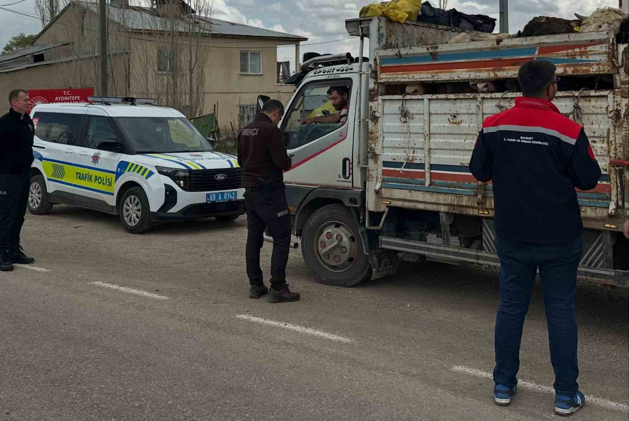 AYDINTEPE’DE KURBAN BAYRAMI ÖNCESİ HAYVAN NAKİLLERİ DENETLENİYOR