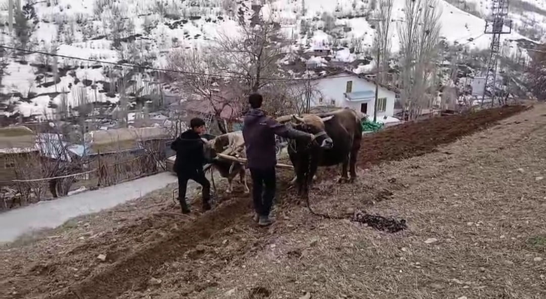 BAHÇESARAY'DA TRAKTÖRÜN GİREMEDİĞİ DİK YAMAÇLARDA KARASABAN MESAİSİ SÜRÜYOR