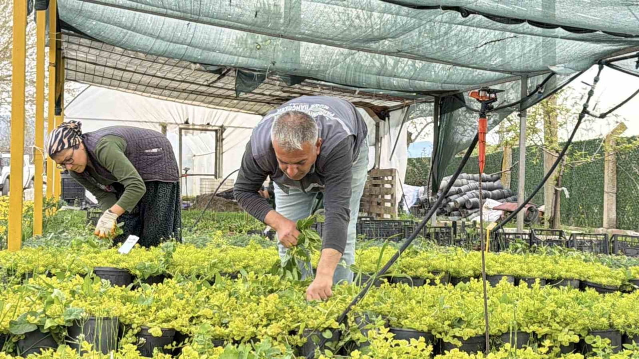 BALIKESİR'İN EDREMİT BELEDİYESİ, İKLİM DEĞİŞİKLİĞİ VE KURAKLIKLA MÜCADELE KAPSAMINDA PARK VE...