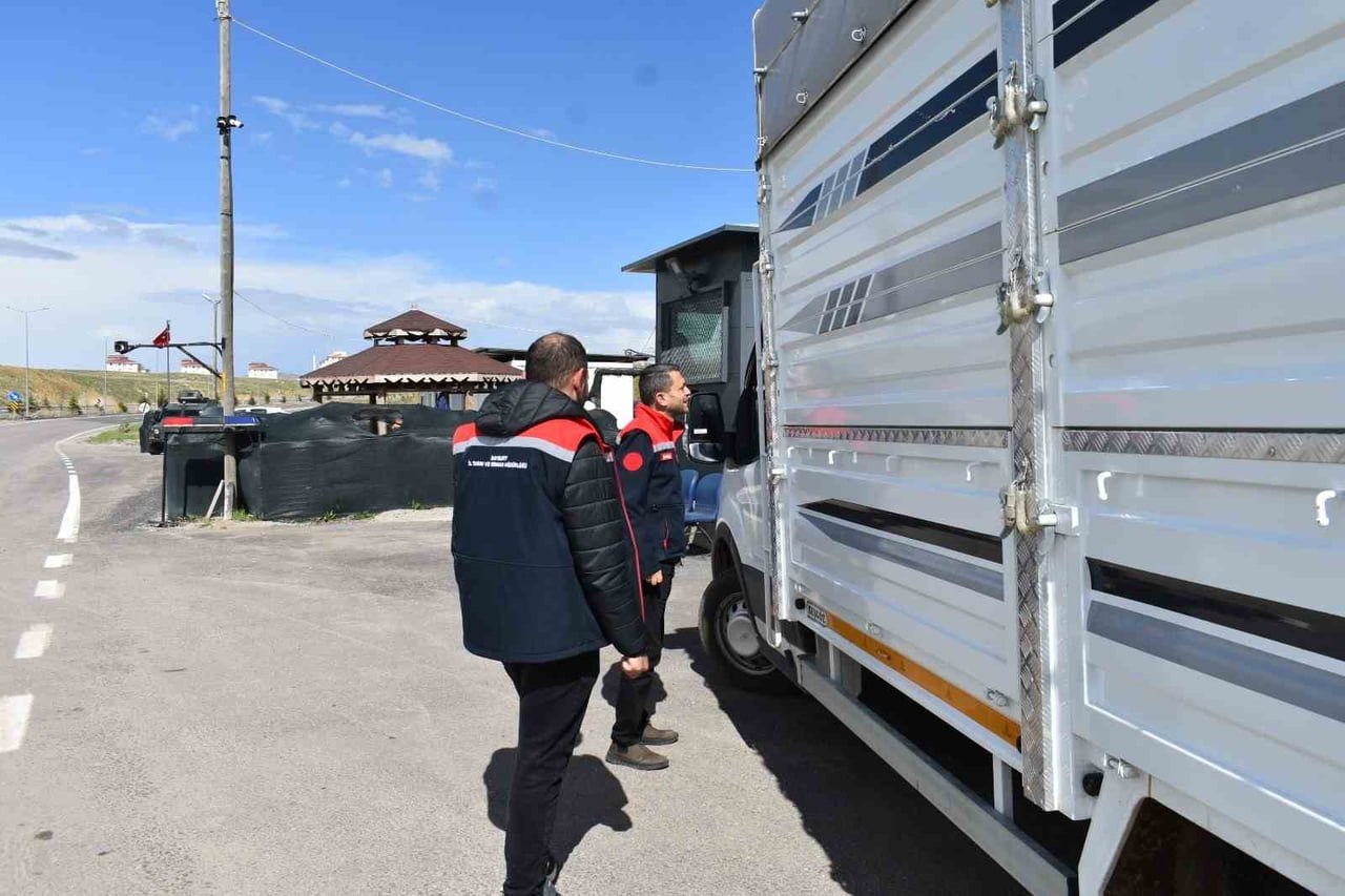 BAYBURT'TA BAYRAM ÖNCESİ HAYVAN SEVKİYATLARINA SIKI DENETİM