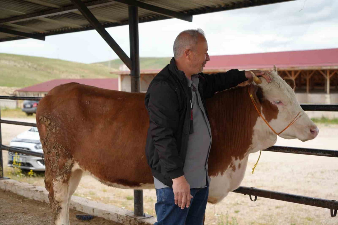 BAYBURT KURBAN PAZARINDA ARİFE HAREKETLİLİĞİ
