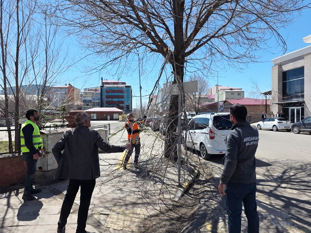 BELEDİYE EKİPLERİ’NDEN AĞAÇ BUDAMA ÇALIŞMASI. (OLGUN YILDIZ/ARDAHAN-İHA)