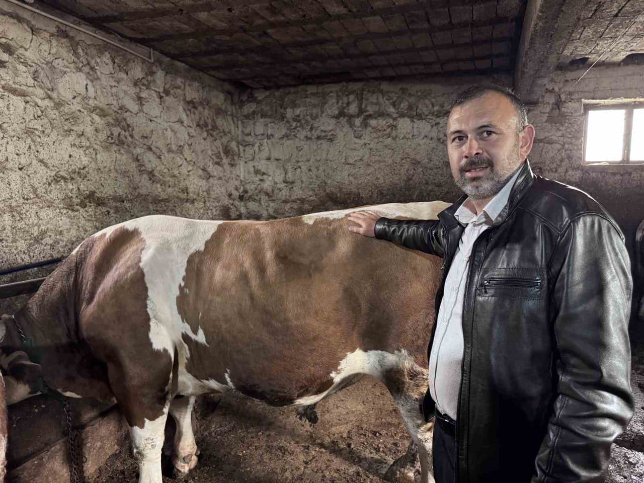 BESİCİ CELAL ALIŞ VE 1 TONLUK KOCAOĞLAN İSİMLİ BOĞA