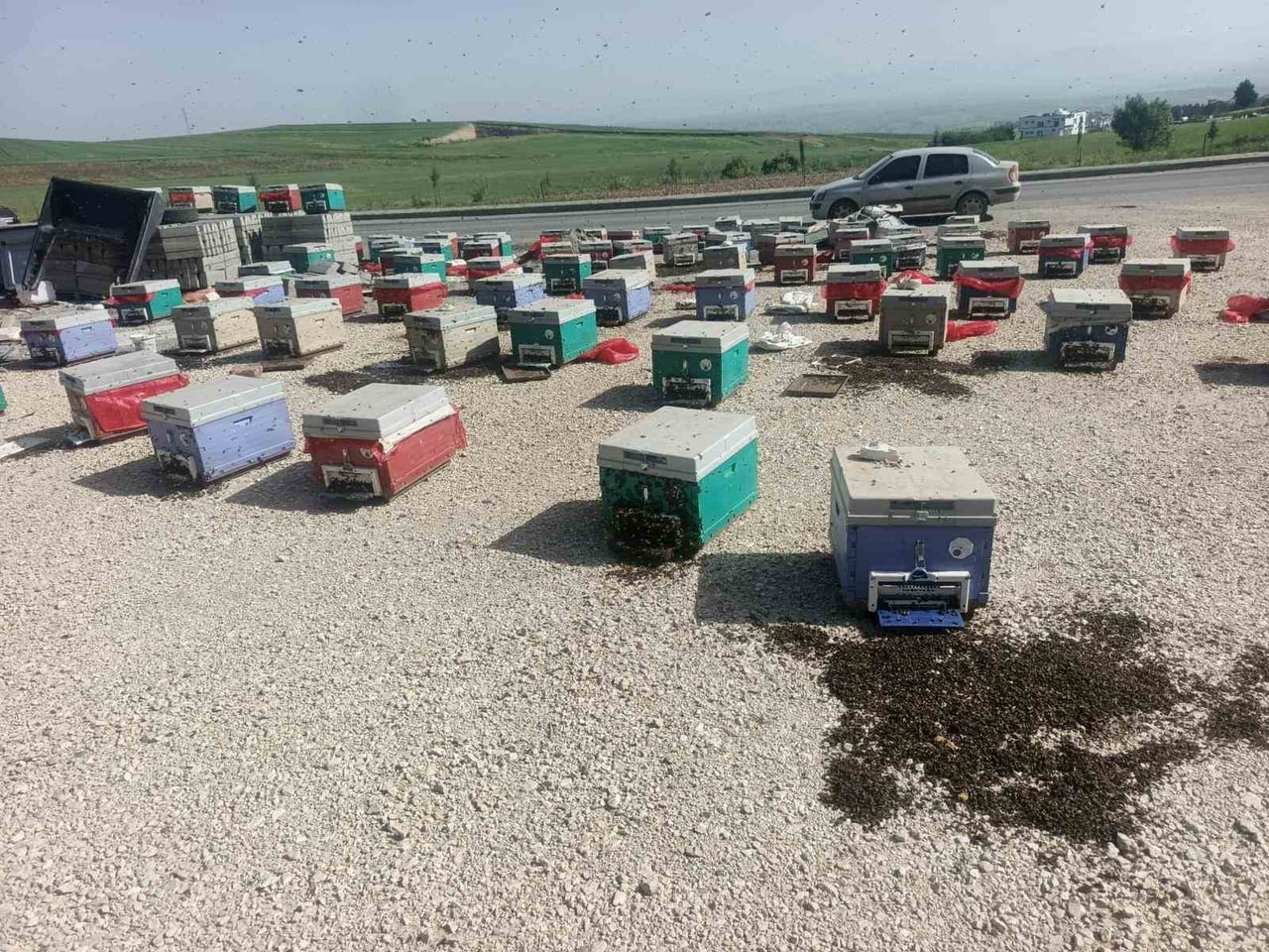 BEŞİRİ İLÇESİNDE ARACIN ARIZALANMASIYLA KOVANLARIN BİR KISMININ YERE DÜŞMESİ SONUCU BİNLERCE ARI...
