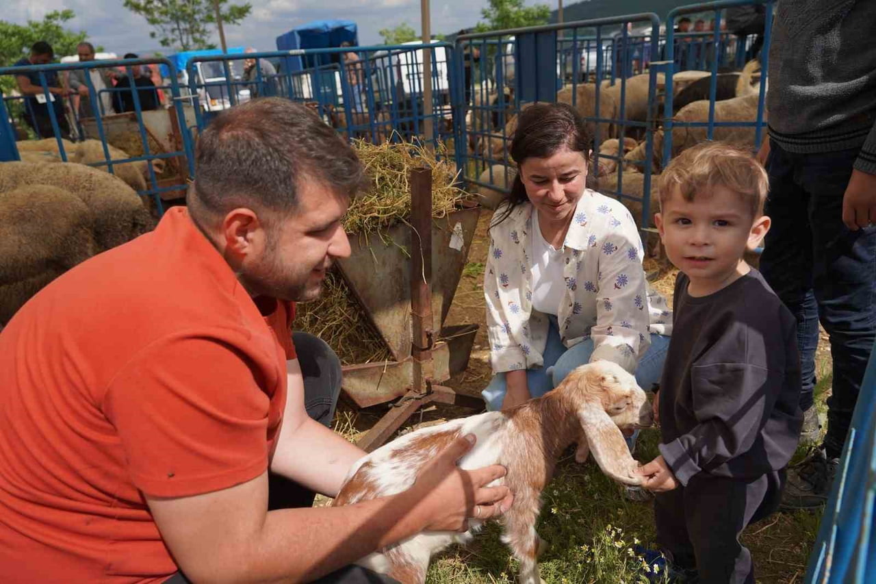 BİLECİK'TEKİ HAYVAN SATIŞ PAZARINDA KURBANLIKLARIN GEBELİK TESTİ, YAŞ TAYİNLERİ VE FİZYOLOJİK...