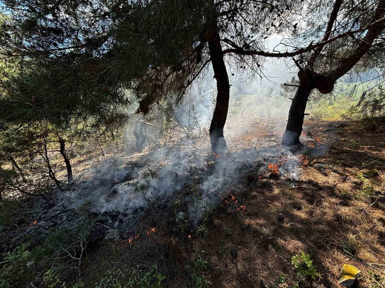 BİLECİK’TE ORMANLIK ALANDA YANGIN ÇIKTI