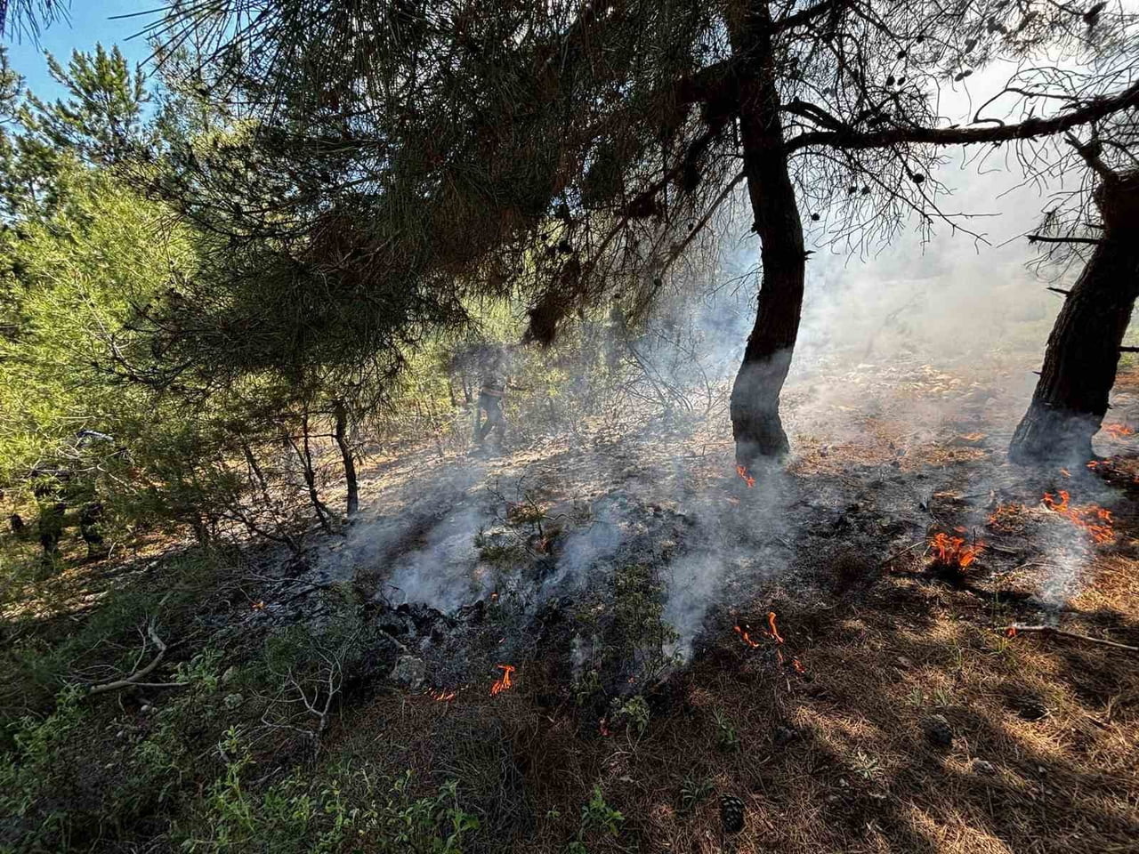 BİLECİK’TE ORMANLIK ALANDA YANGIN ÇIKTI