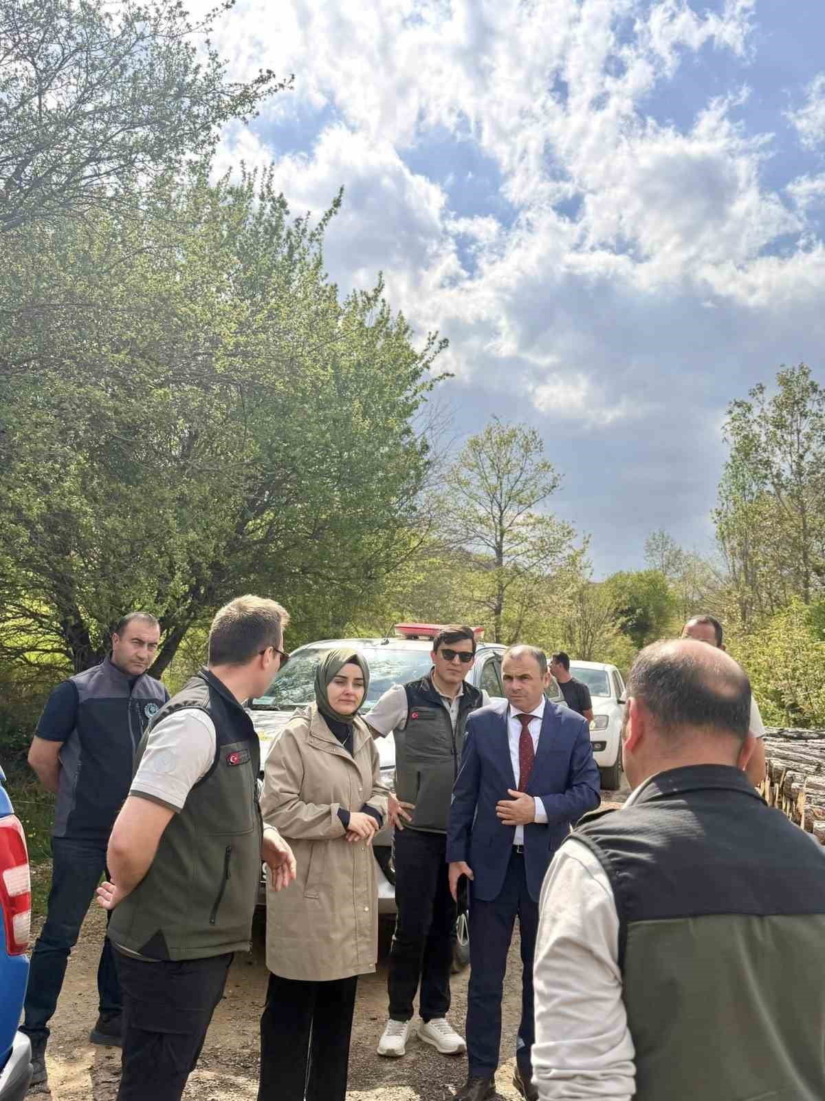 BİLECİK’TE YANGIN SAHALARINDA AĞAÇLANDIRMA ÇALIŞMALARI İNCELENDİ
