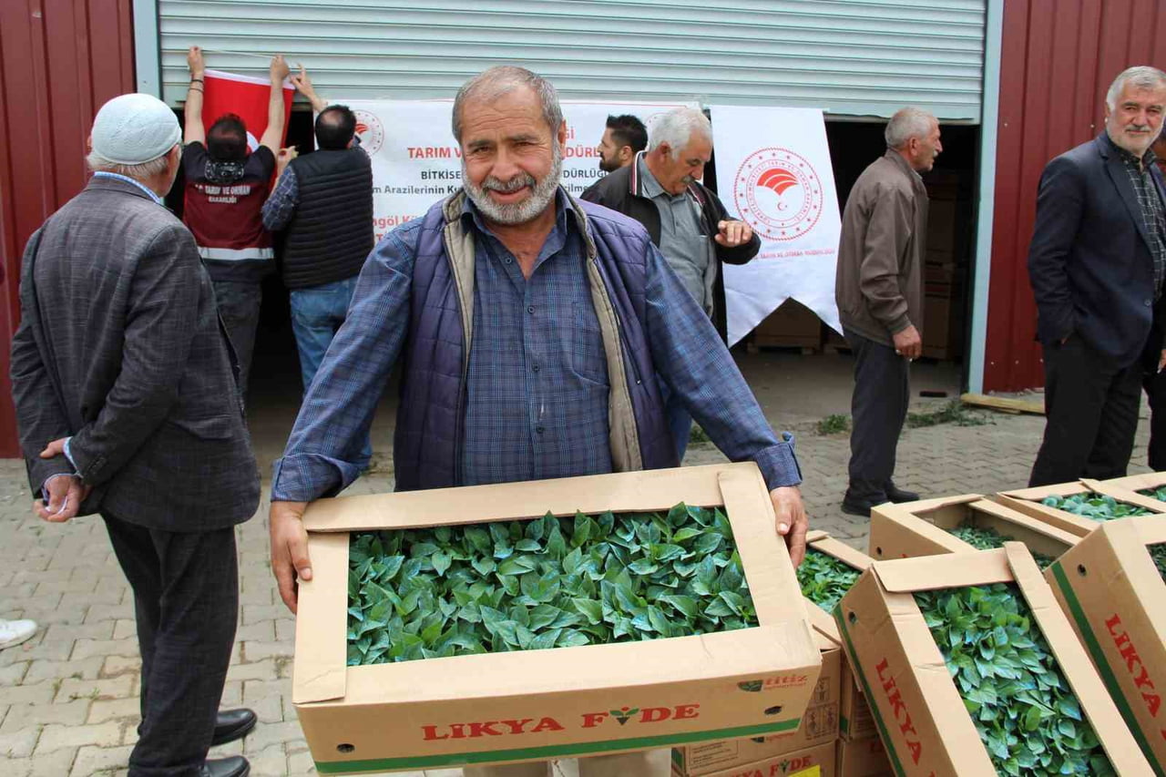 BİNGÖL’DE 570 ÜRETİCİYE 330 BİN SEBZE FİDESİ DAĞITILDI.