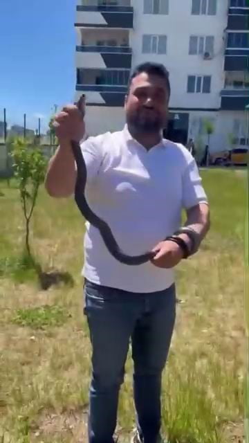 BİR VATANDAŞ DİKKATLİCE SOKULDUĞU YILANI ELİYLE YAKALADI.