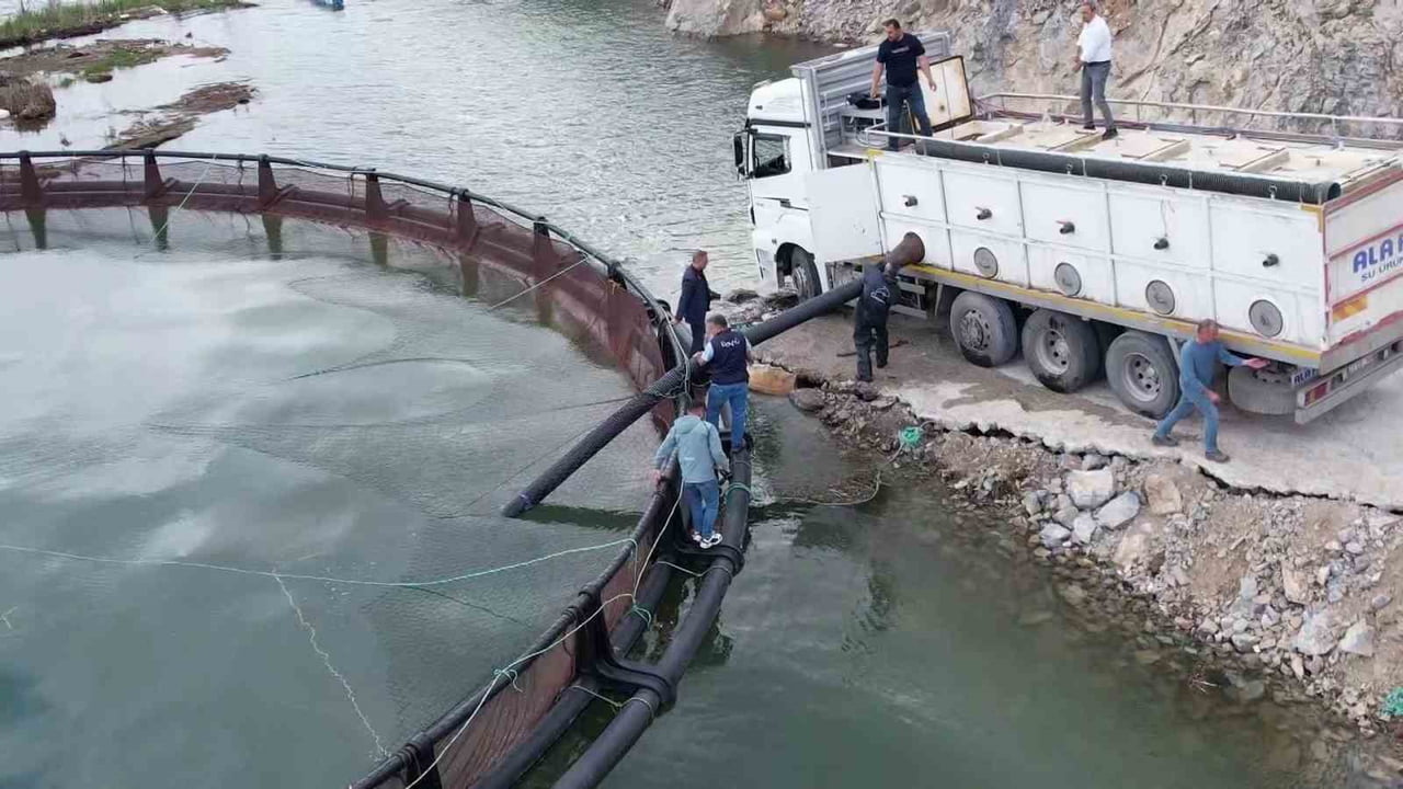BİRÇOK ÜLKEYE İHRAÇ EDİLEN ‘TÜRK SOMONU’ YETİŞTİRMEK İÇİN ADIYAMAN’IN ÇELİKHAN İLÇESİNDEKİ ÇAT...