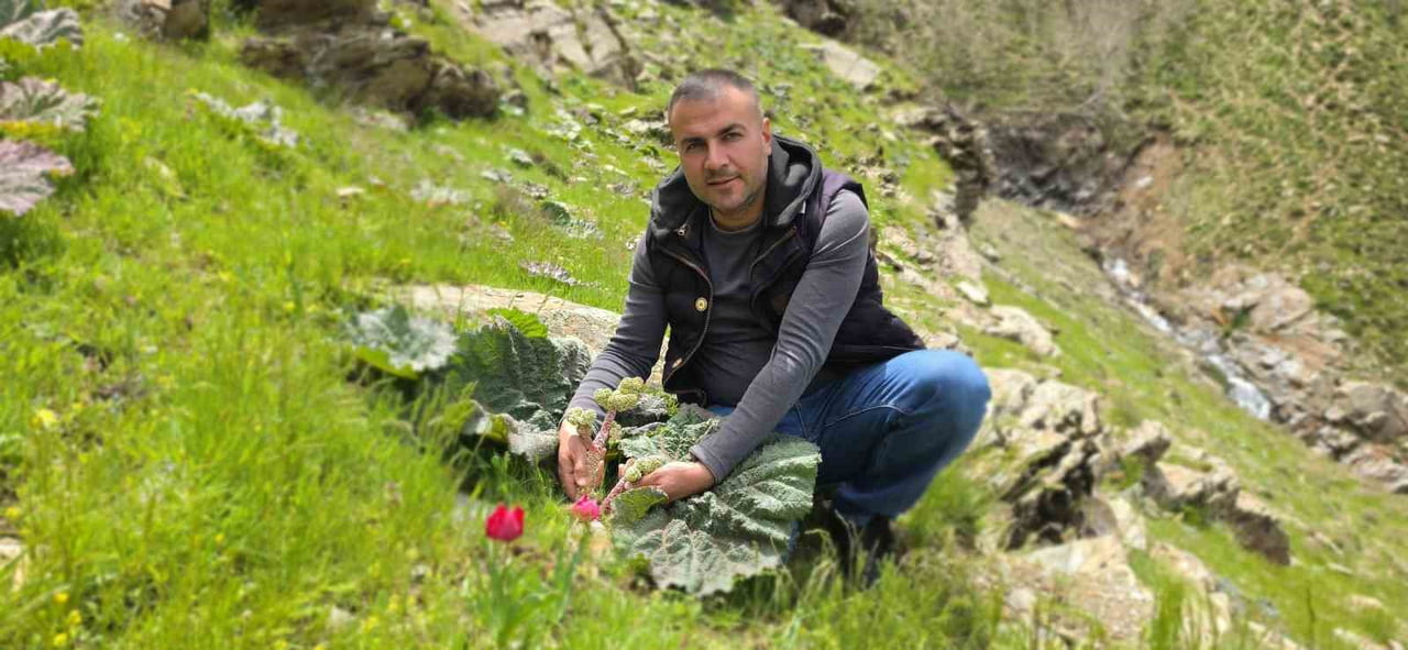 BİTLİSLİLER, BAHAR MEVSİMİYLE BİRLİKTE YÜKSEK RAKIMLI DAĞLARDA YETİŞEN VE HALK ARASINDA “YAYLA...