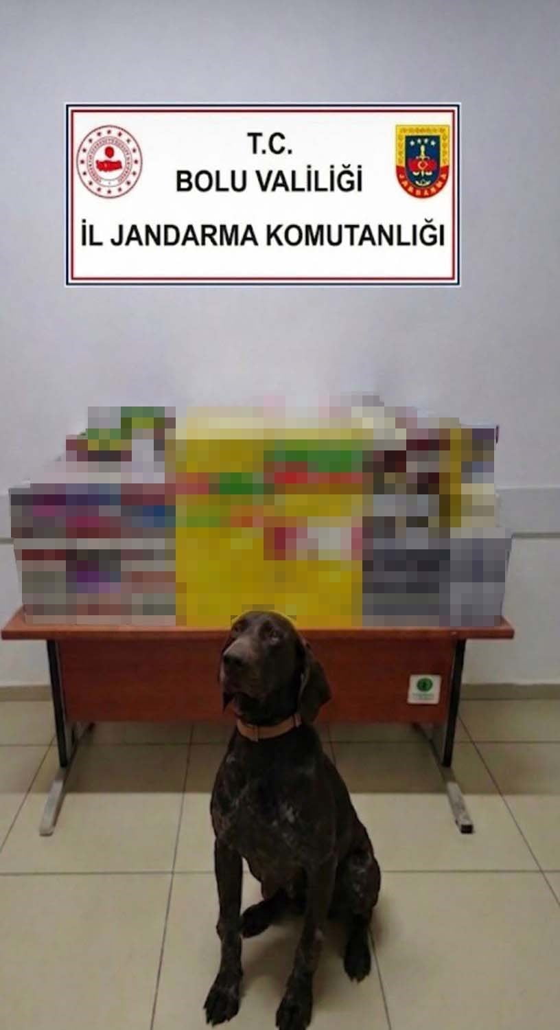 BOLU İL JANDARMA KOMUTANLIĞI EKİPLERİ TARAFINDAN DÜZENLENEN OPERASYONDA, BÜYÜK MİKTARDA KAÇAK...