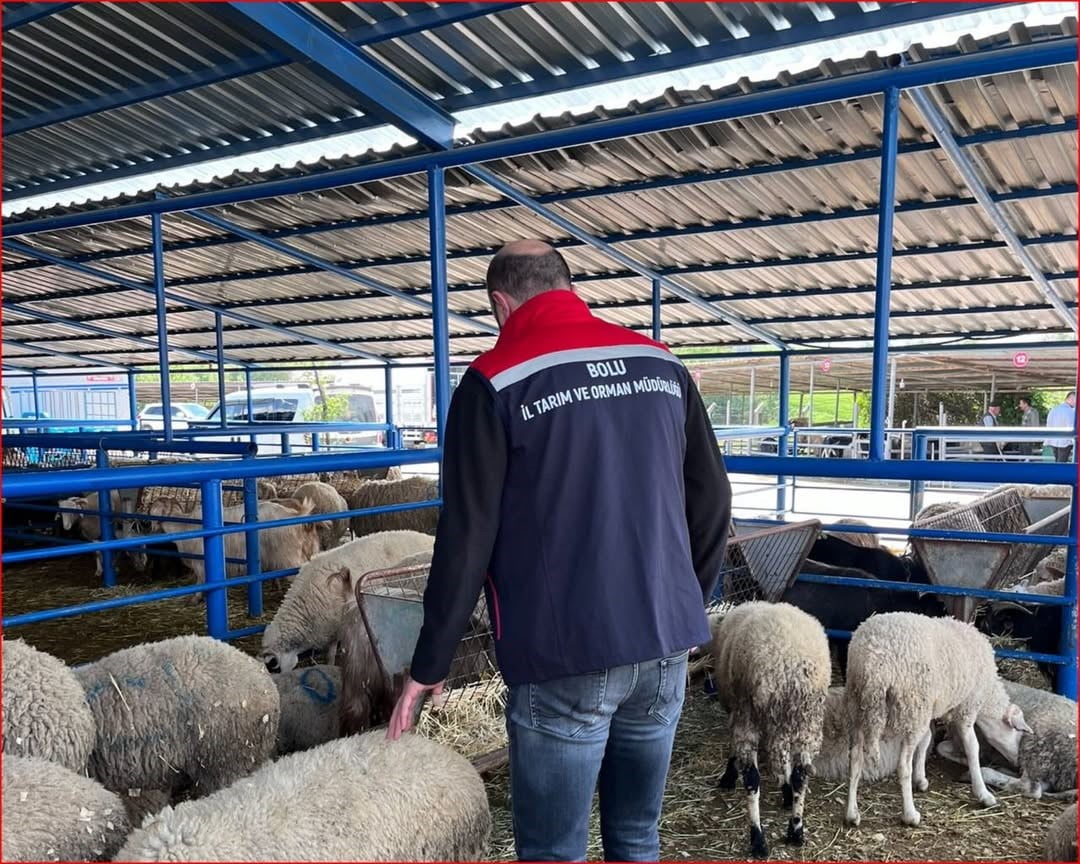 BOLU İL TARIM VE ORMAN MÜDÜRLÜĞÜ EKİPLERİ TARAFINDAN YAKLAŞAN KURBAN BAYRAMI ÖNCESİNDE, KURBAN...