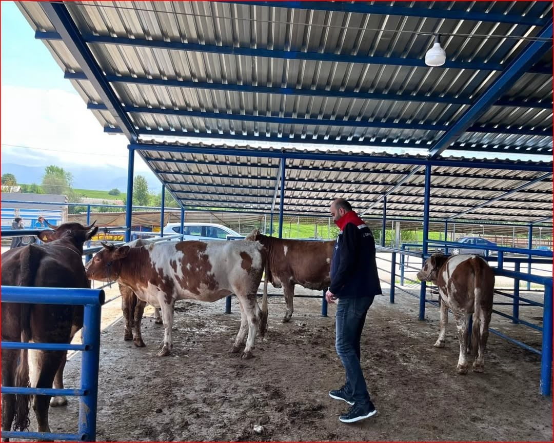 BOLU İL TARIM VE ORMAN MÜDÜRLÜĞÜ EKİPLERİ TARAFINDAN YAKLAŞAN KURBAN BAYRAMI ÖNCESİNDE, KURBAN...